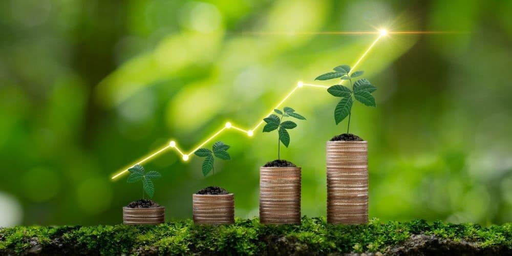 Financial investment is growing over time concept.