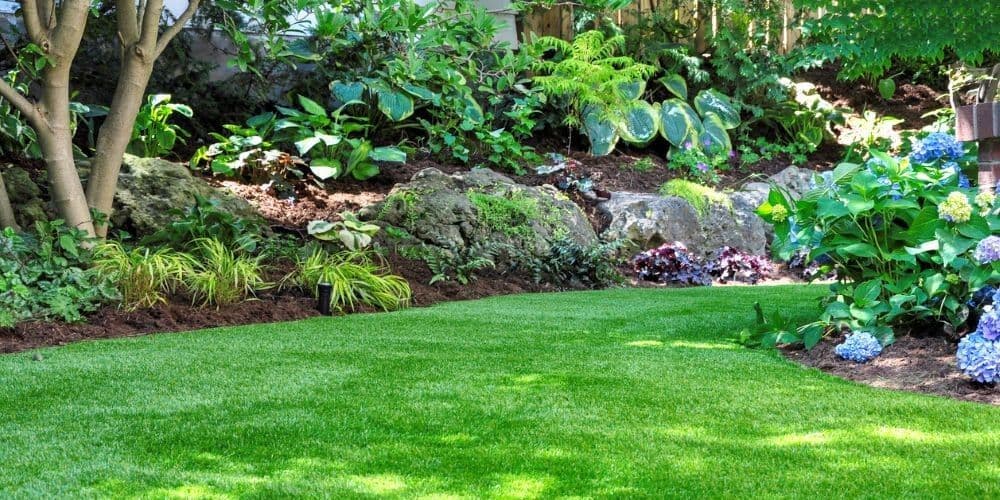 A beautifully landscaped backyard.